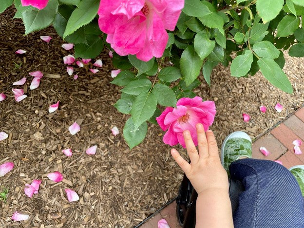 Lighting the Spark: Keeping a Child’s Love of Learning Alive Beyond the Classroom
