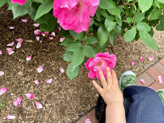 Lighting the Spark: Keeping a Child’s Love of Learning Alive Beyond the Classroom